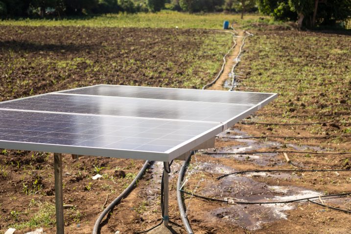A solar panel and irrigation pipes in a field of crops.